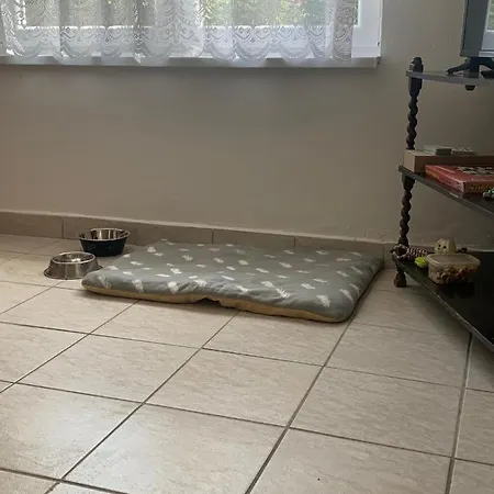 Fecskefeszek Vendeghaz Apartman